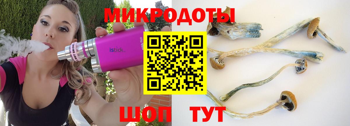 Псилоцибиновые грибы мицелий Камышин