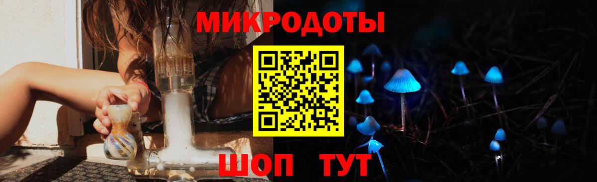 Псилоцибиновые грибы MAGIC MUSHROOMS  Вход с VPN  Камышин 