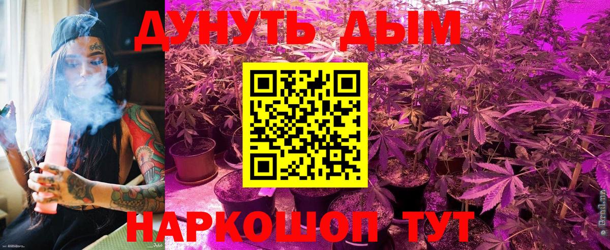 Шишки марихуана Ganja  МАРИХУАНА MAZAR  МАРИХУАНА семена  Камышин  Вход с VPN  Марихуана THC 21% 